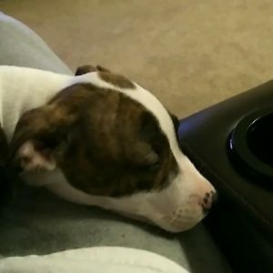 Meet your Posher, Jason